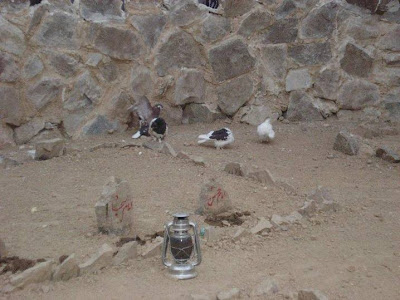 House Of Bibi Fathima ( R.A ) Madina Munawara