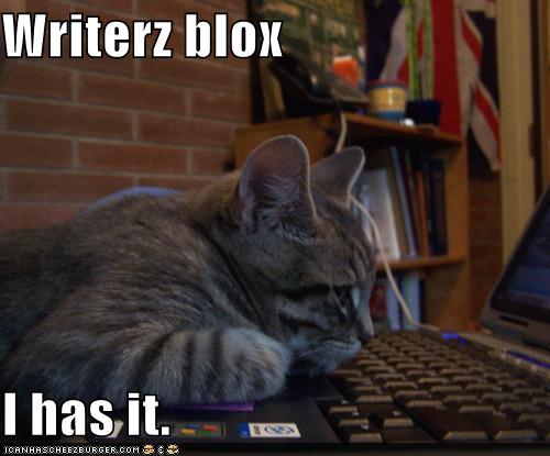 [funny-pictures-cat-has-writers-block.jpg]