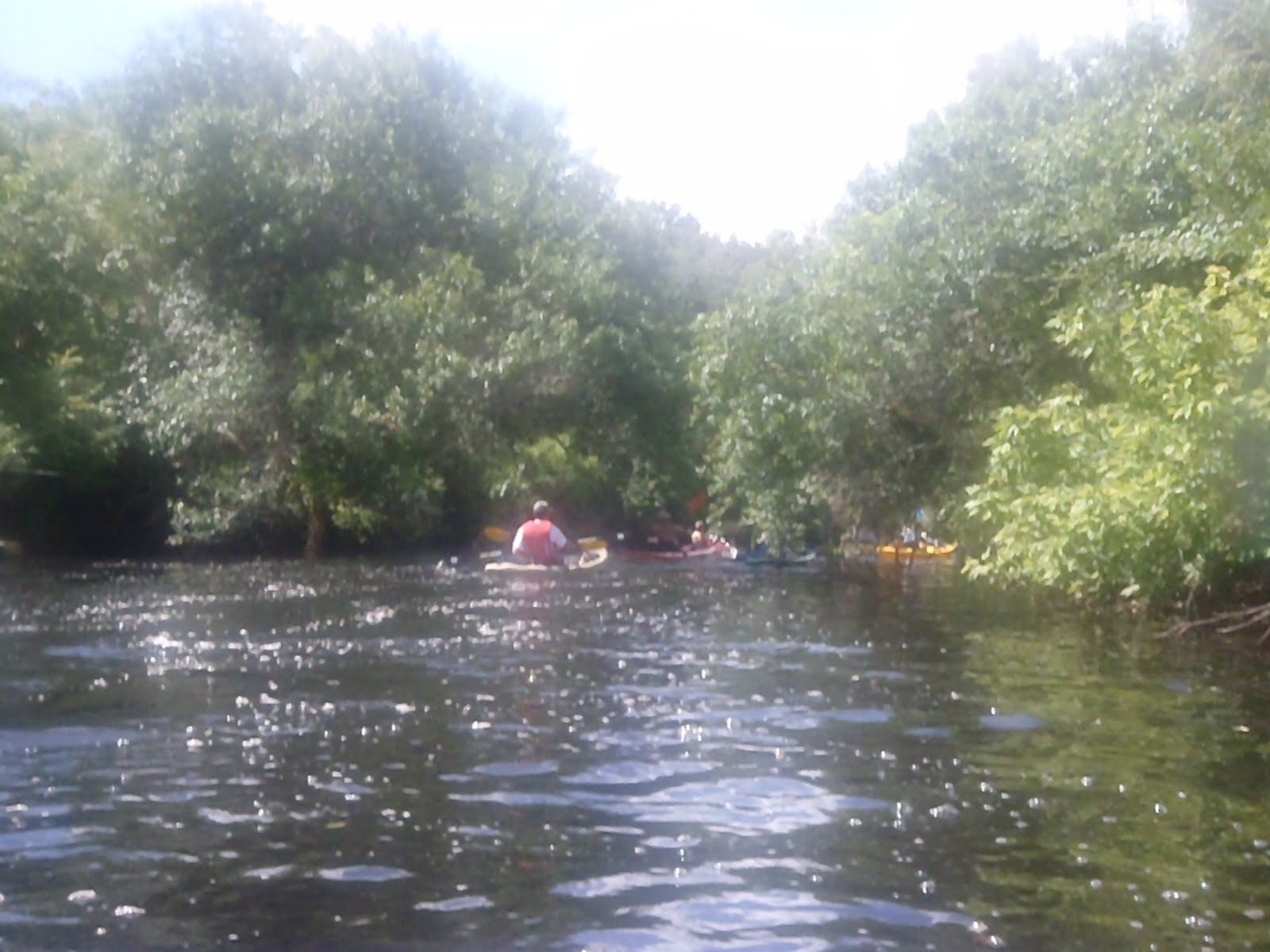 Last Minute Lyn's Life WANNA KAYAK the Saint Lucie River (south fork)?