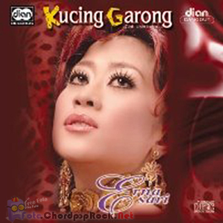 Cover Foto Erna Sari Kucing Garong