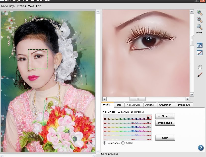Noise ninja. Свадебные плагины для фотошопа. noise photoshop перевод.