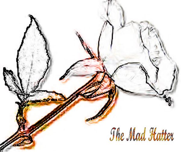 The Mad Hatter