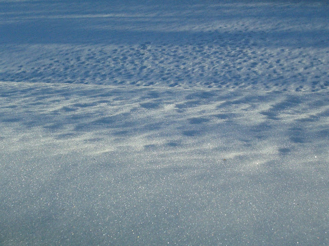 Blue shadows on snow.