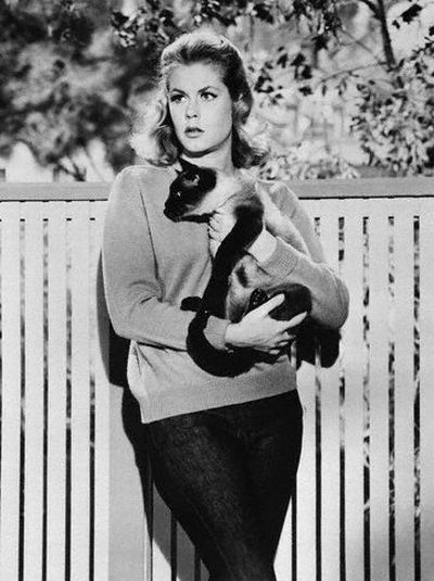 [famous_people_and_their_cats_60.jpg]