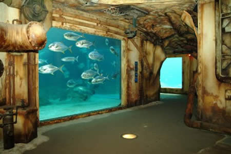 [Breathtaking_+Aquariums_Around_The_World_07.jpg]
