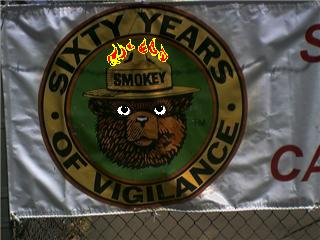 Hey Smokey, vigilance doesn't clean up the forest or put out fires!