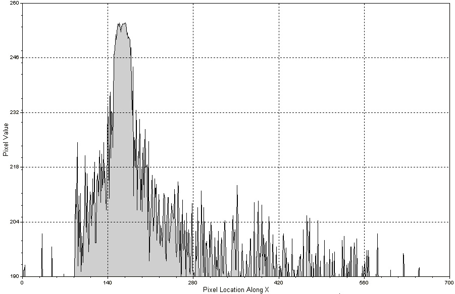 [190509USA129profile.jpg]