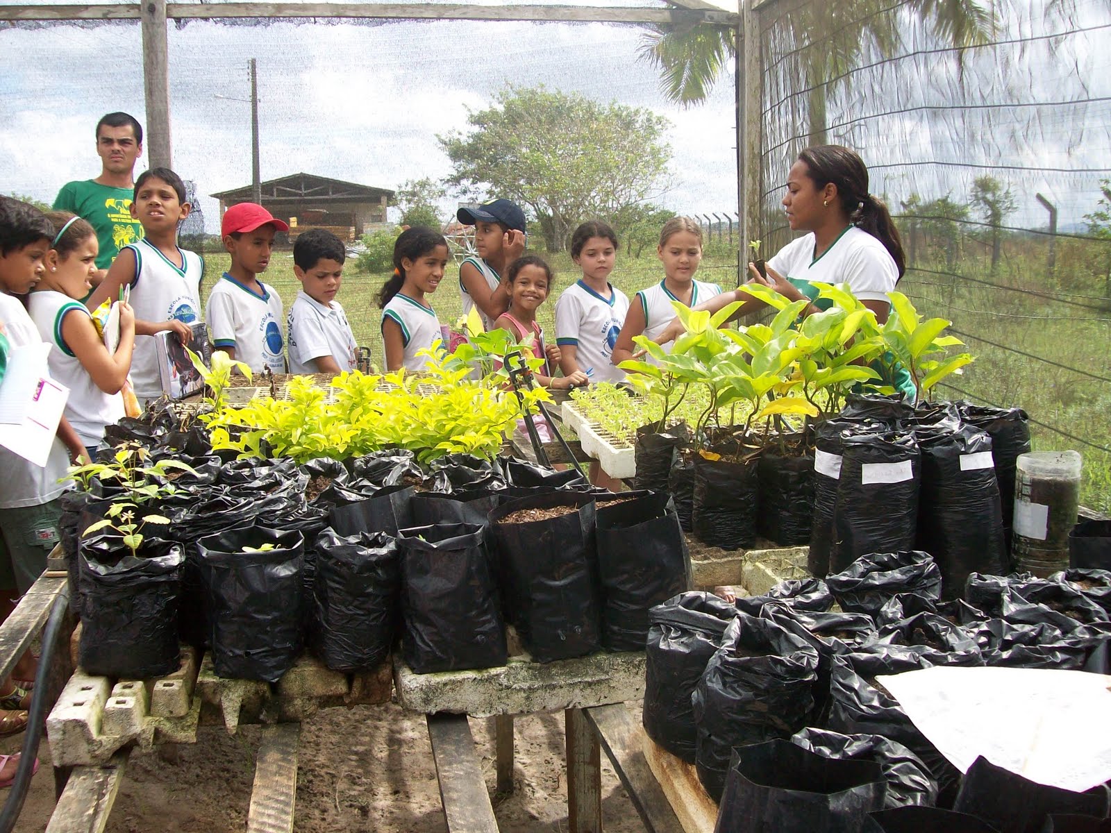 EDUCAÇÃO AMBIENTAL NAS ESCOLAS M. DE ITABAIANA: ESCOLA MUL. PROFª CLARA ...