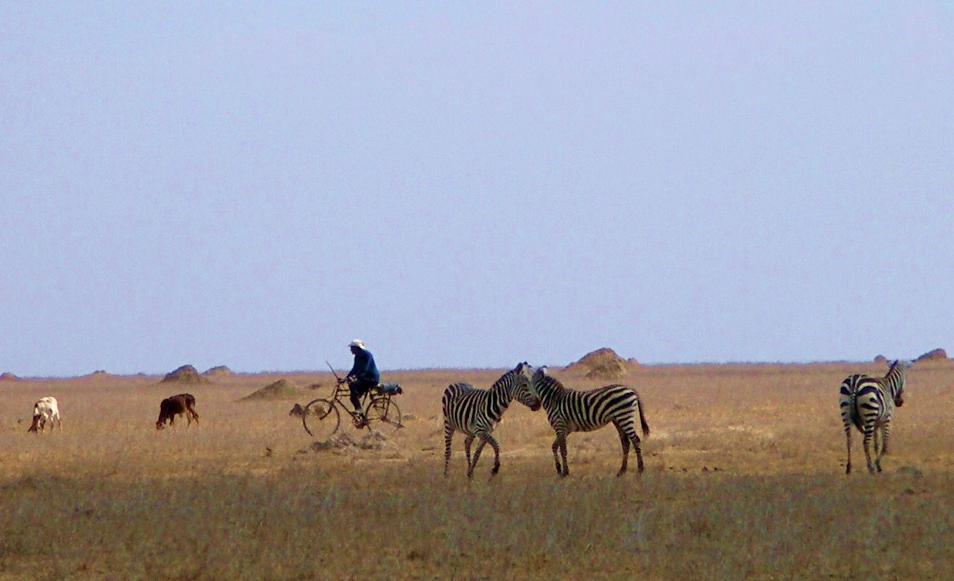 [Kitengela+Kenya+coexistence.jpg]