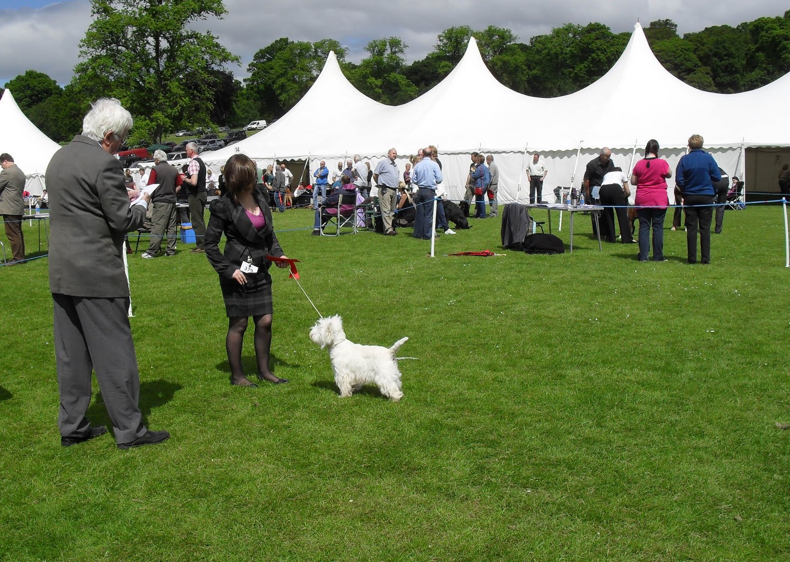 Spey Valley Dog Training Club Dundee Canine Club