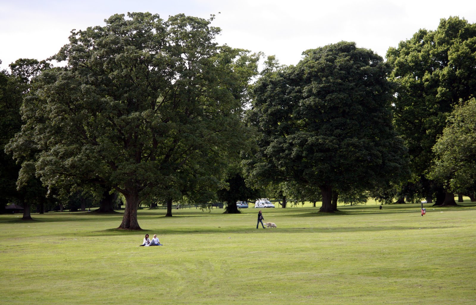 Spey Valley Dog Training Club Dundee Canine Club