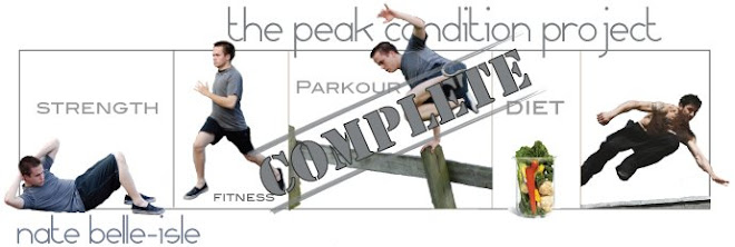 The Peak Condition Project - Nate