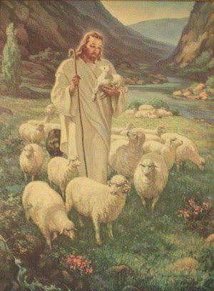 [jesus-compassion-sheep.jpg]