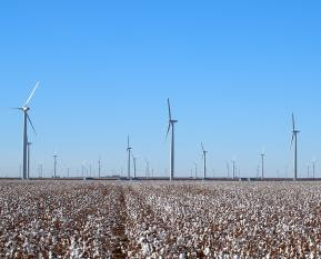 World Largest Wind Power Plant ~ Wind Power Plant
