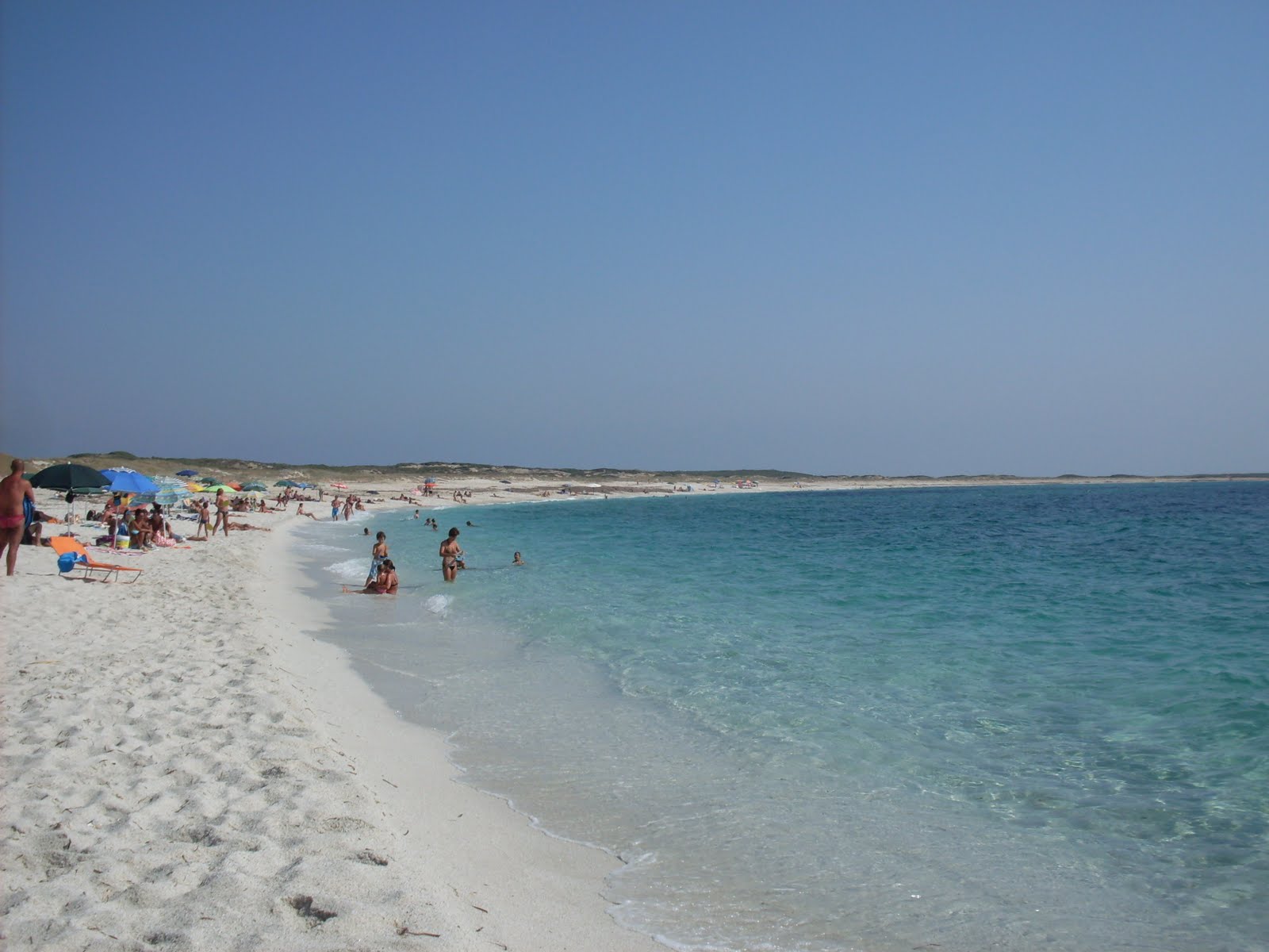 Artedonia en Español Cerdeña