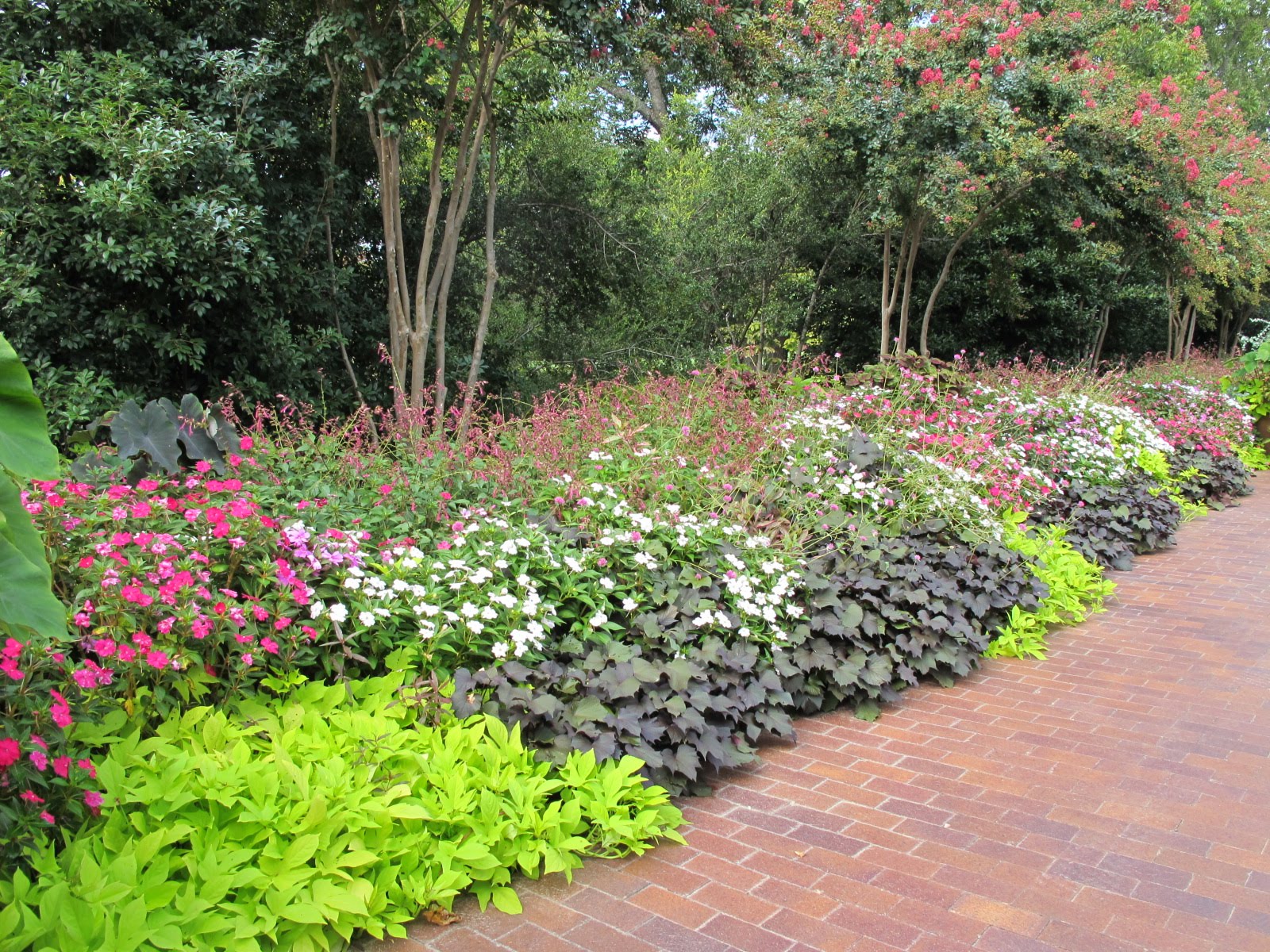 18+ Stupendous Sweet Potato Companion Plants Inspiratif Design