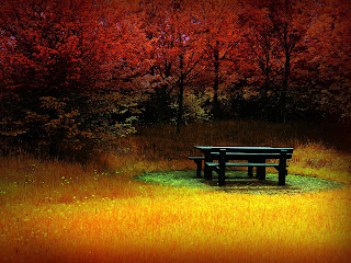 Empty Picnic Table Autumn Landscape Wallpaper