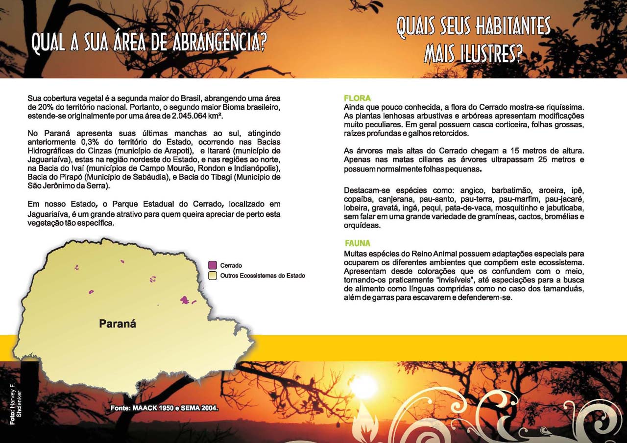 Willian Bill Ecossistemas 6 Cerrado