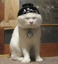 gangster+kitty.jpg