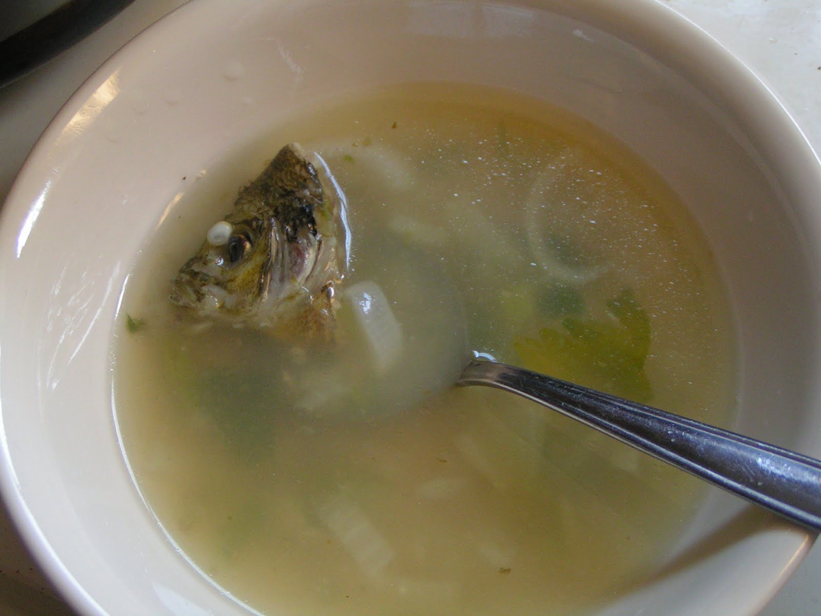 Frugal Home and Health: Fish Head Soup?