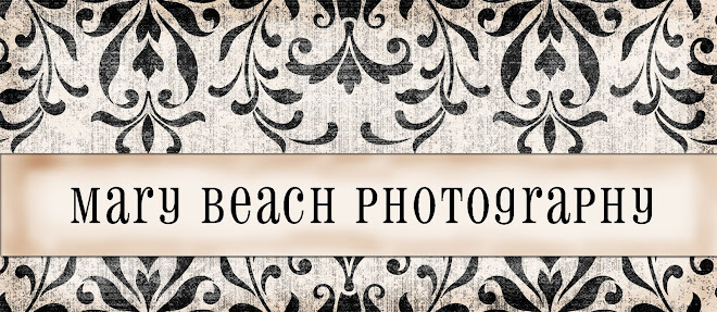 Mary Beach Photography