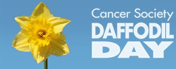 JOURNEY: Daffodil Day