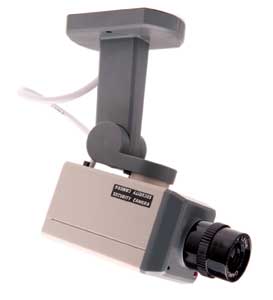 [ISC_Imitation_Security_Camera.jpg]