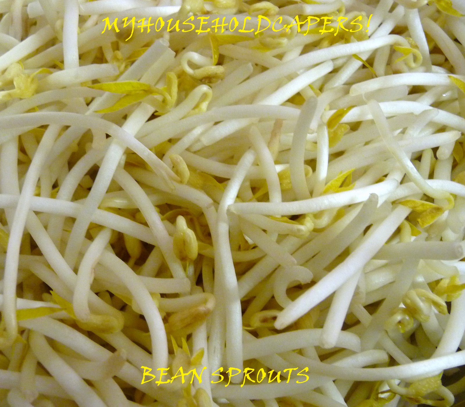 [Bean+Sprouts.jpg]