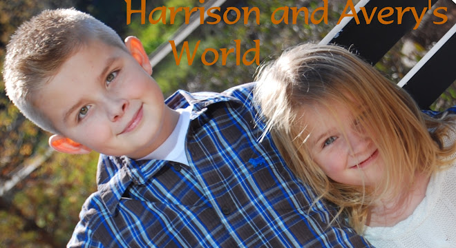 Harrison and Avery's World
