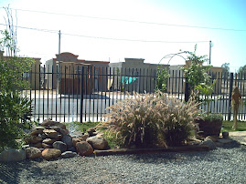 Farmacia Veterinaria y granero CIMARRON