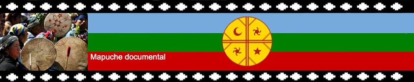 Mapuche documental