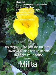 REGALO  DE  MILITA