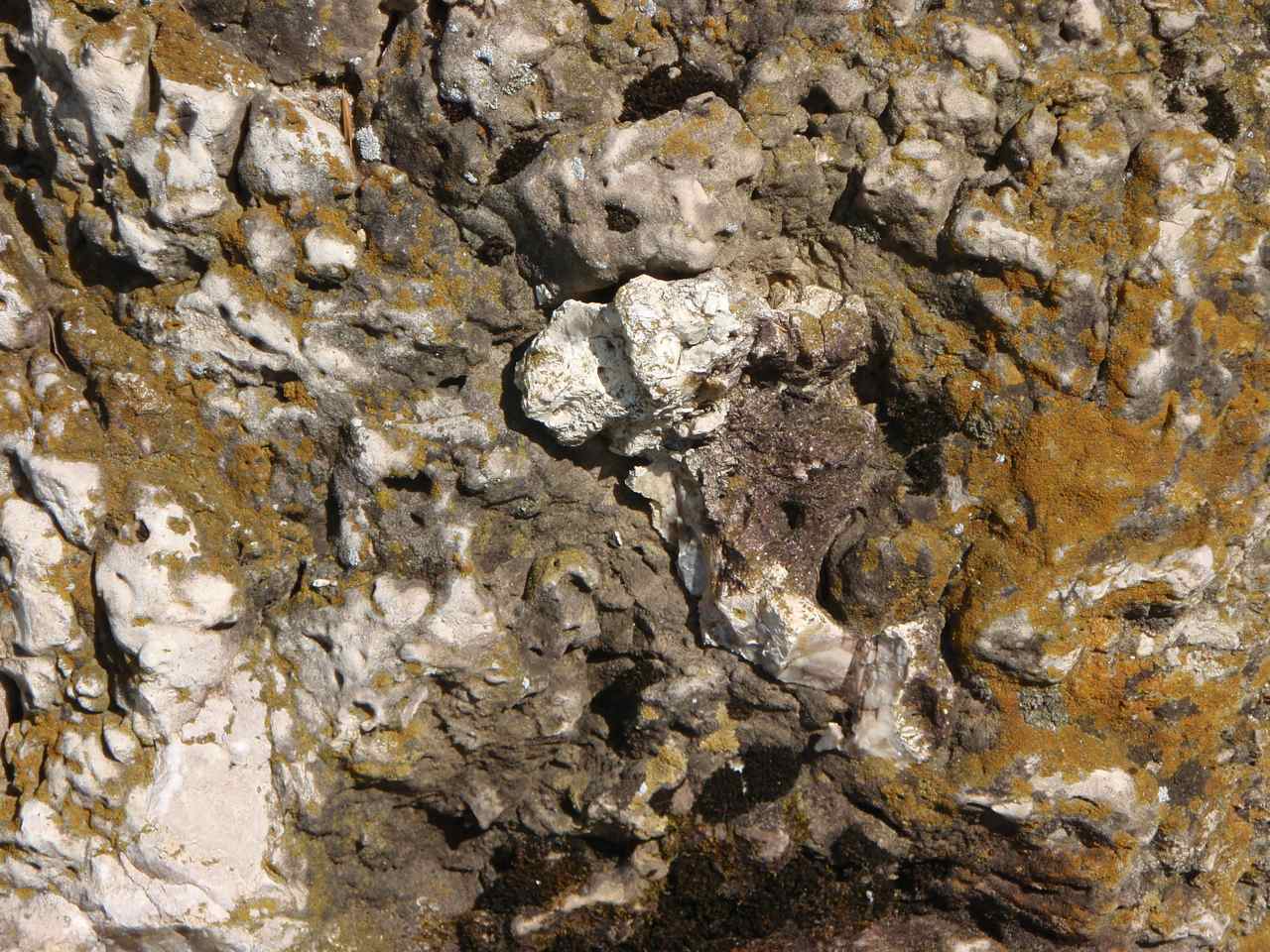 photograph of rocks