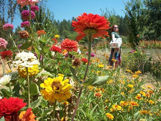 Pick Up day at Riverhill Farm