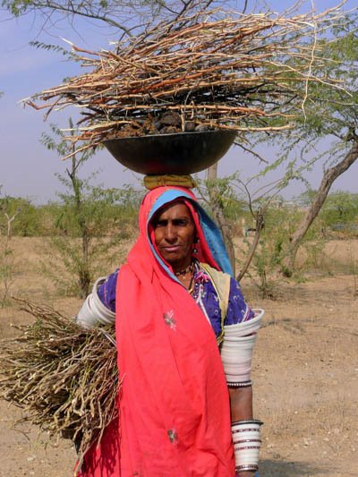 [India_firewood.JPG]
