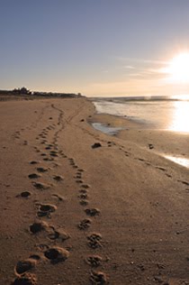 [footprints_on_beach.jpg]