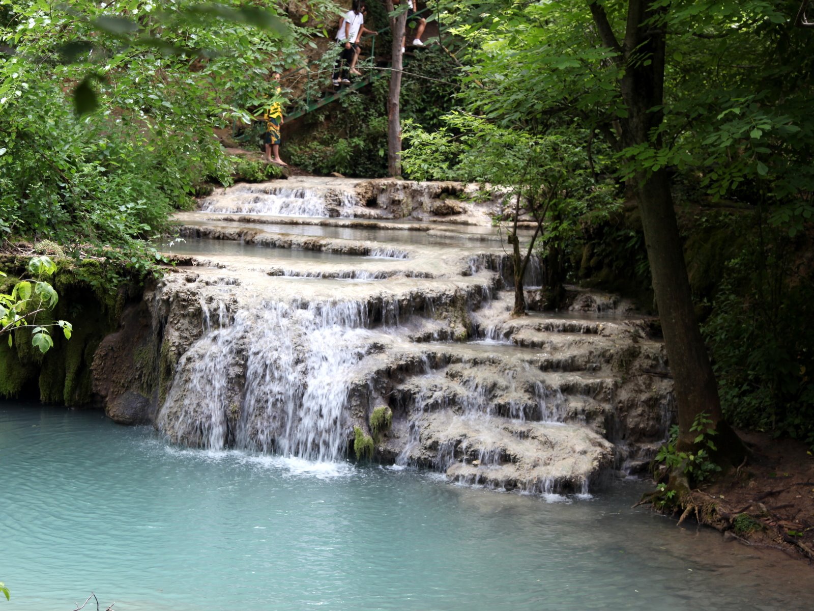 [IMG_6113.JPG]