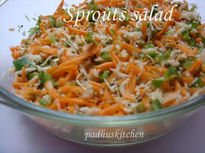 Green Gram Sprout Salad Green Gram Sprout Salad