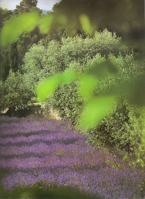 http://www.linenandlavender.net/2009/07/linen-and-lavender.html http://www.linenandlavender.net/2009/07/linen-and-lavender.html