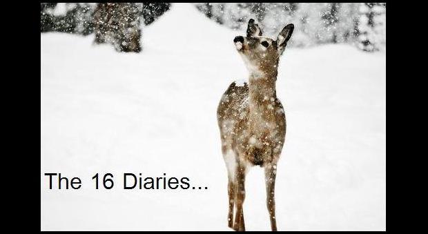 The 16 Diaries...