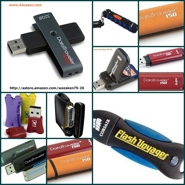 Kingston Flash Memory Amazon.com
