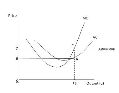 Economics: Short run profit Maximisation in perfect competition: