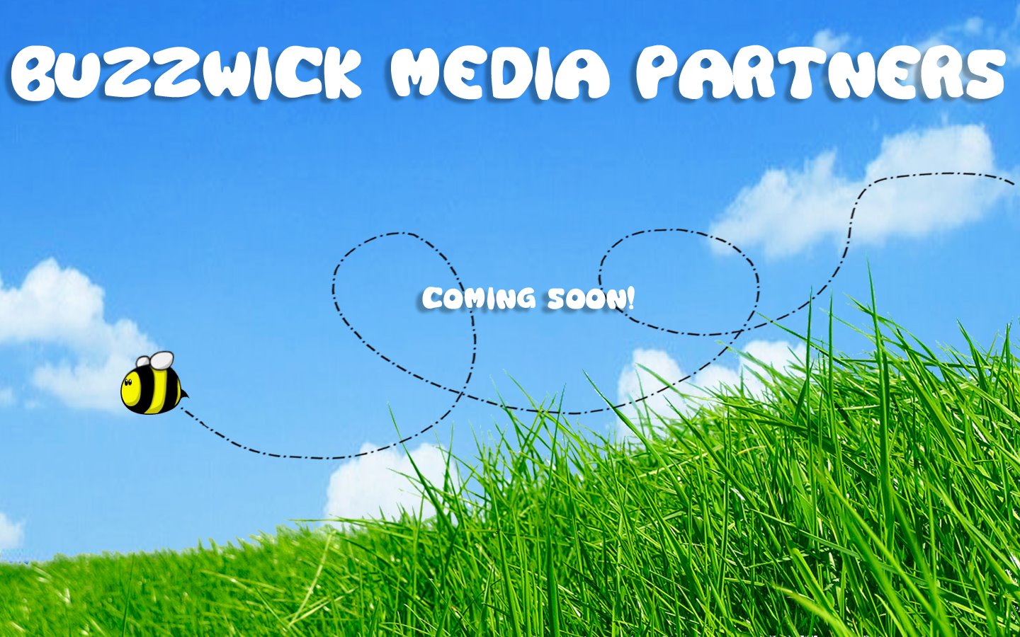 BuzzWick Media Partners - Social Media and SEO Experts for Small Business