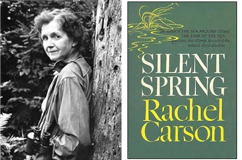 love the sunset Silent Spring