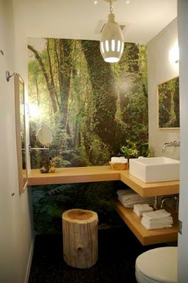 Home Bathroom Design