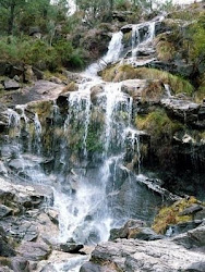 Maravilla de la naturaleza...