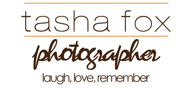 tasha fox: photographer