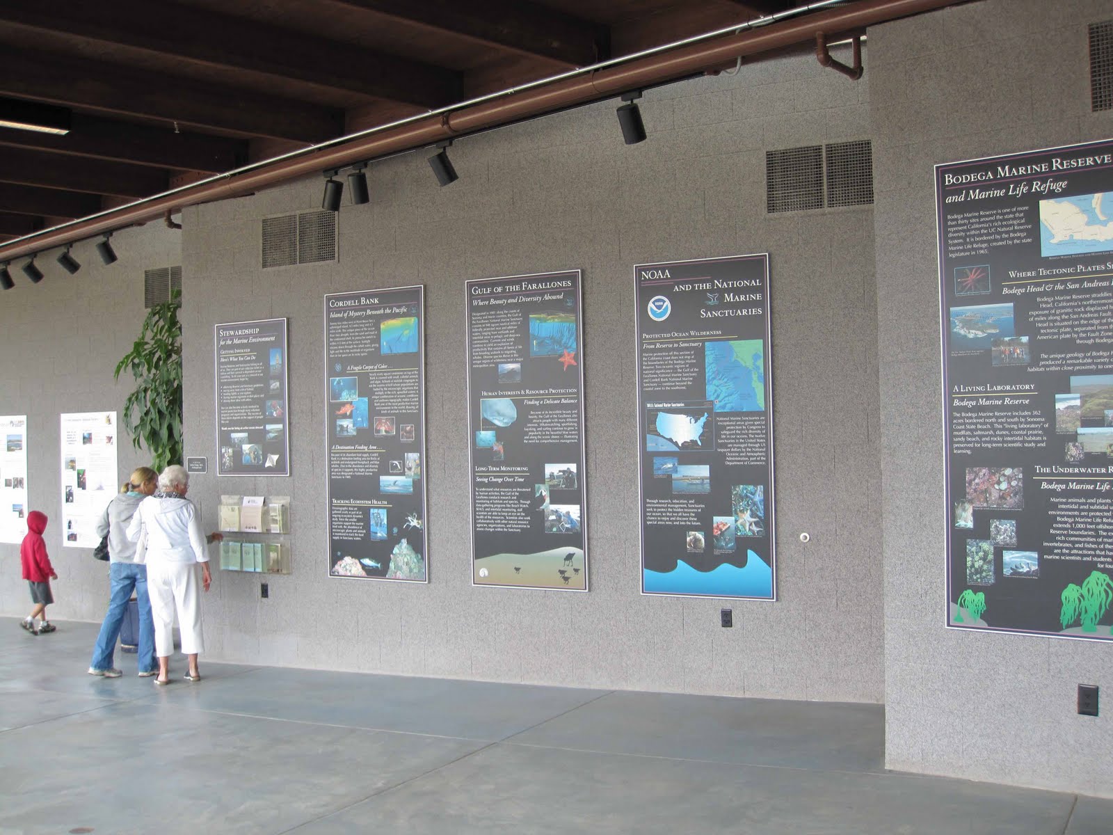BodegaBayLife Bodega Marine Lab
