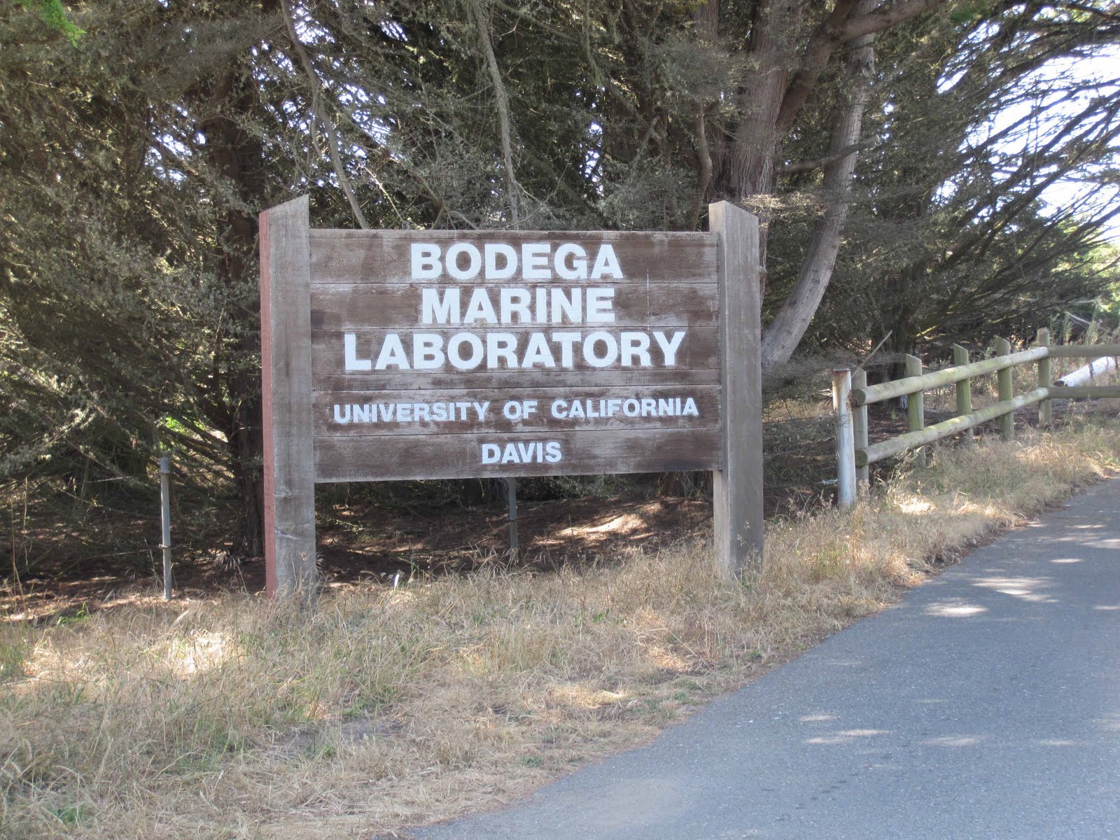 BodegaBayLife Bodega Marine Lab