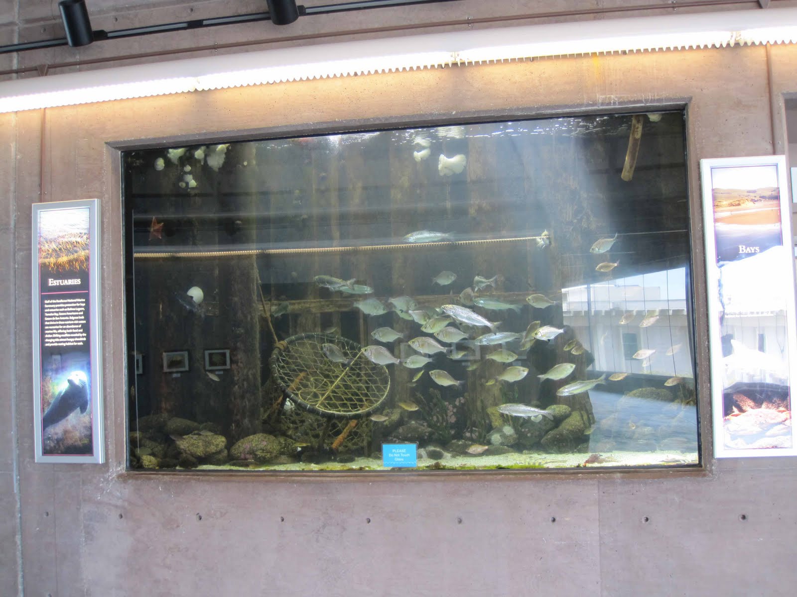 BodegaBayLife Bodega Marine Lab